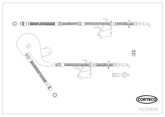 Bremsschlauch Vorderachse rechts Corteco 19036856 von Corteco