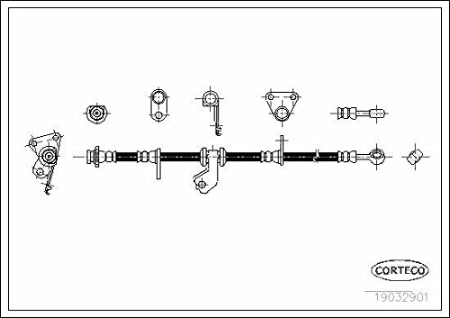 Corteco 19032901 Bremsschlauch von Corteco