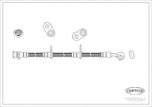 Corteco 19032987 Bremsschlauch von Corteco