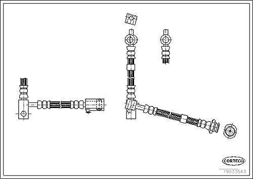 Corteco 19033543 Bremsschlauch von Corteco