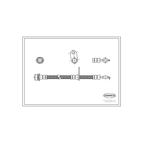 Corteco 19033579 Bremsschlauch von Corteco
