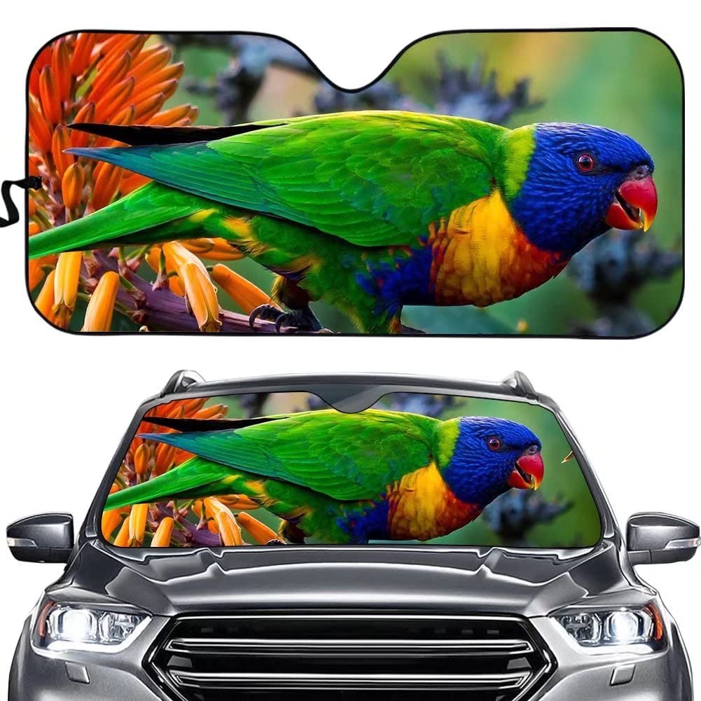 Cumagical Parrot Auto Frontscheibe Sonnenschutz Vogel Windschutzscheibe Sonnenblende Universal Fit für die meisten Autoteile, blockiert UV-Sonnenlicht, Hitze, schützt Ihr Auto innen, hält Ihr Auto von Cumagical