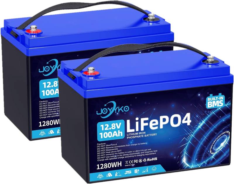 2 Stück Lifepo4 100Ah 12V Lithium Batterie mit Deep Cycle 12.8v 100Ah Wiederaufladbar Batterie mit BMS Schutz 15000 Zyklen Perfekter Ersatz Bleiakku Geeignet für Wohnmobil, Boote (100Ah-2 Stück) von Cunsieun