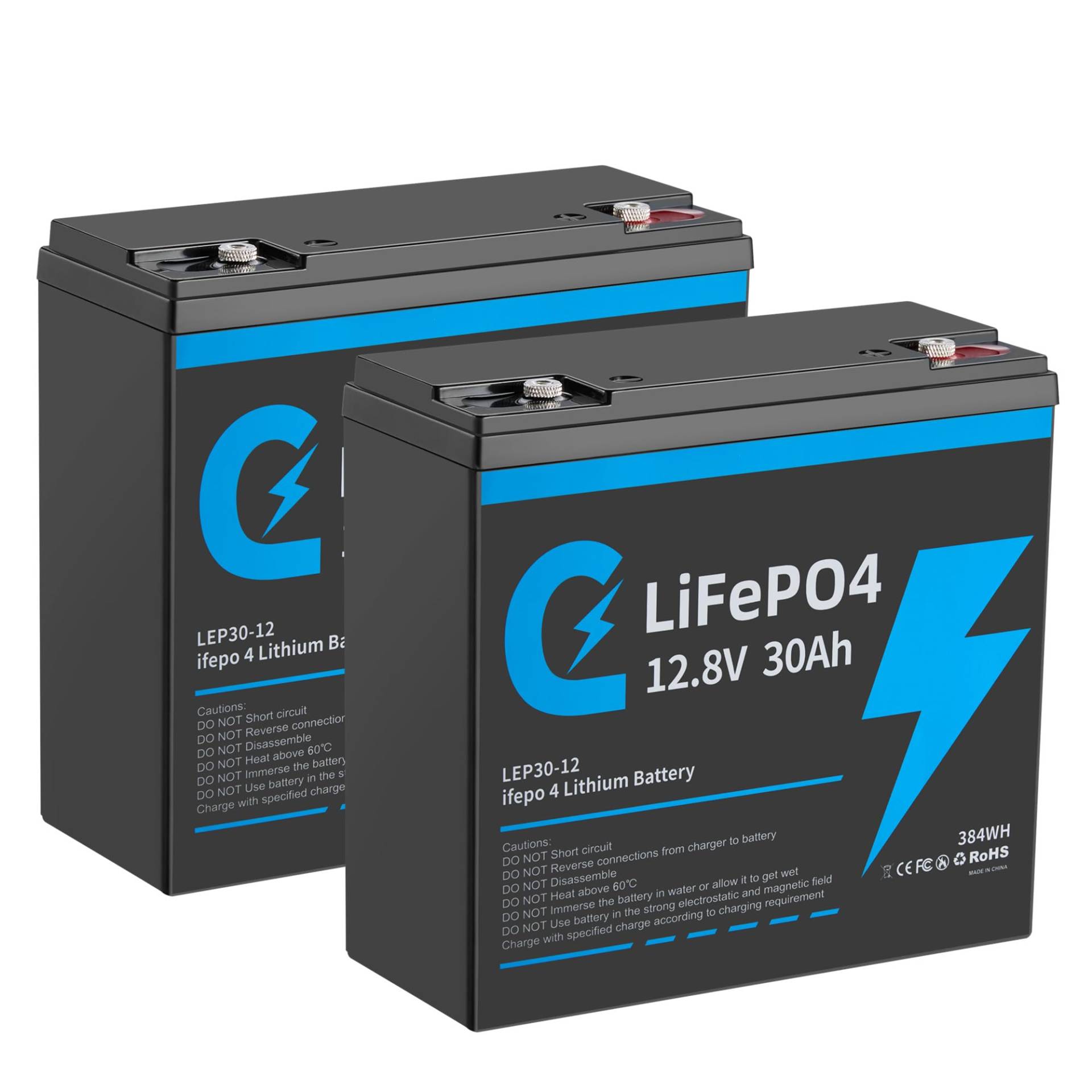 2 Stück Lifepo4 30Ah12V Lithium Batterie mit Deep Cycle 12,8v 30Ah Wiederaufladbar Batterie mit BMS Schutz 15000 Zyklen Perfekter Ersatz Bleiakku Geeignet für Wohnmobil, Boote, Camping (2 Stück) von Cunsieun