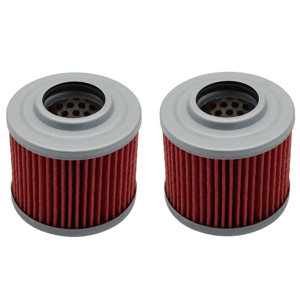 Cyleto Ölfilter for BMW G650 XCHALLENGE 650 2007 2008 2009 2010 2011 / G650 XMOTO 650 2007 2008 2009 2010 / G650 XCOUNTRY 650 2007 2008 2009 2010 (2 Stück) von Cyleto