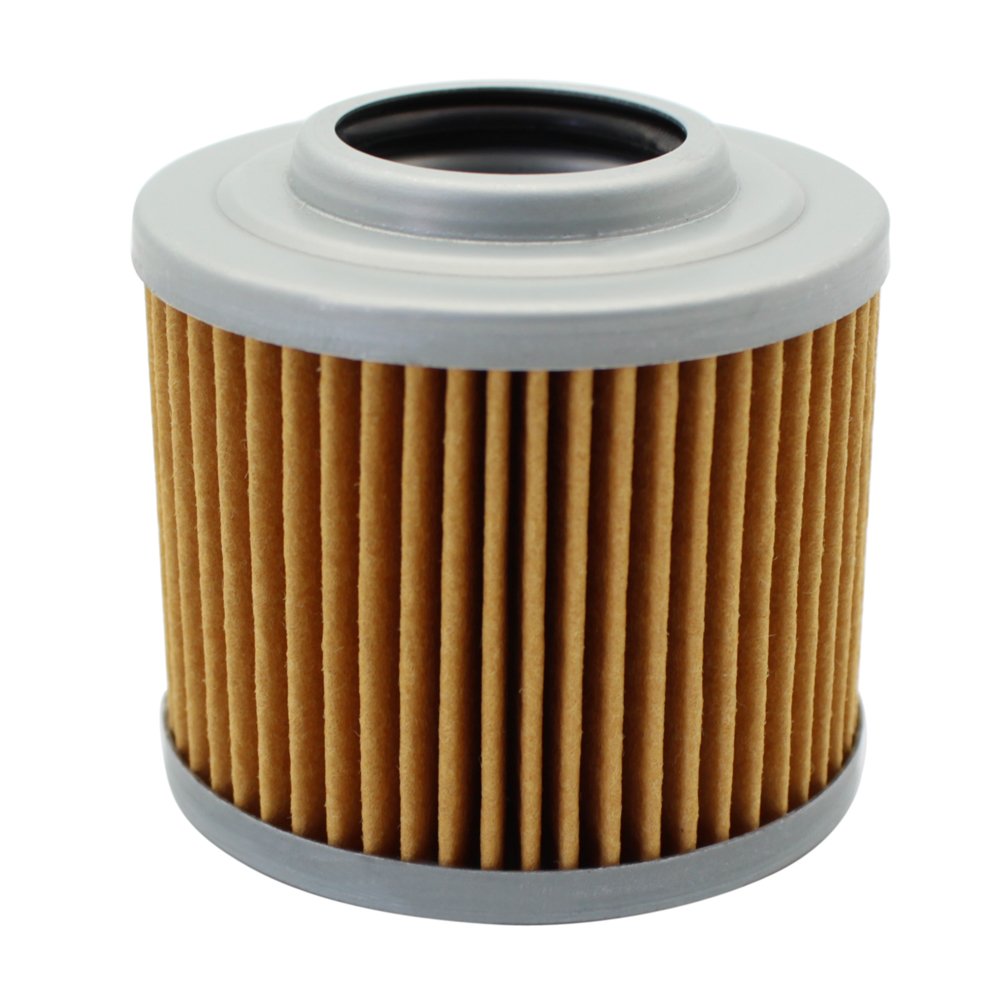 Cyleto Ölfilter for F650 1999 / F650 SE 1999 / F650 ENDURO 650 1999 / F650 FUNDURO 650 1993 1994 1995 1996 1997 1998 1999 2000 von Cyleto