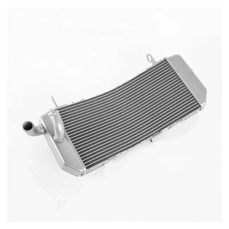 Motorrad Motor Kühler Kühler Kühlwasser Tank for T-MAX 530 560 2017 2018 2019 2021 2022 2023 TMAX(Silver) von DAPANGGE