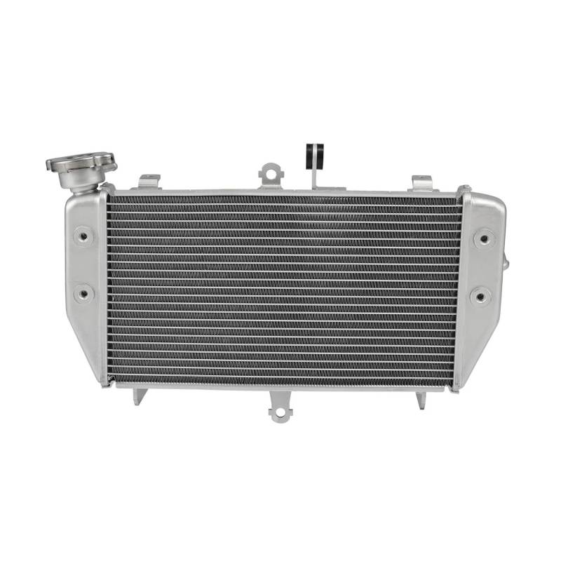 Silber Kühler Motor Kühler Kühlung for MT-03 MT-25 2016-2023 2017 2018 2019 2020 2021 2022 Motorrad von DAPANGGE