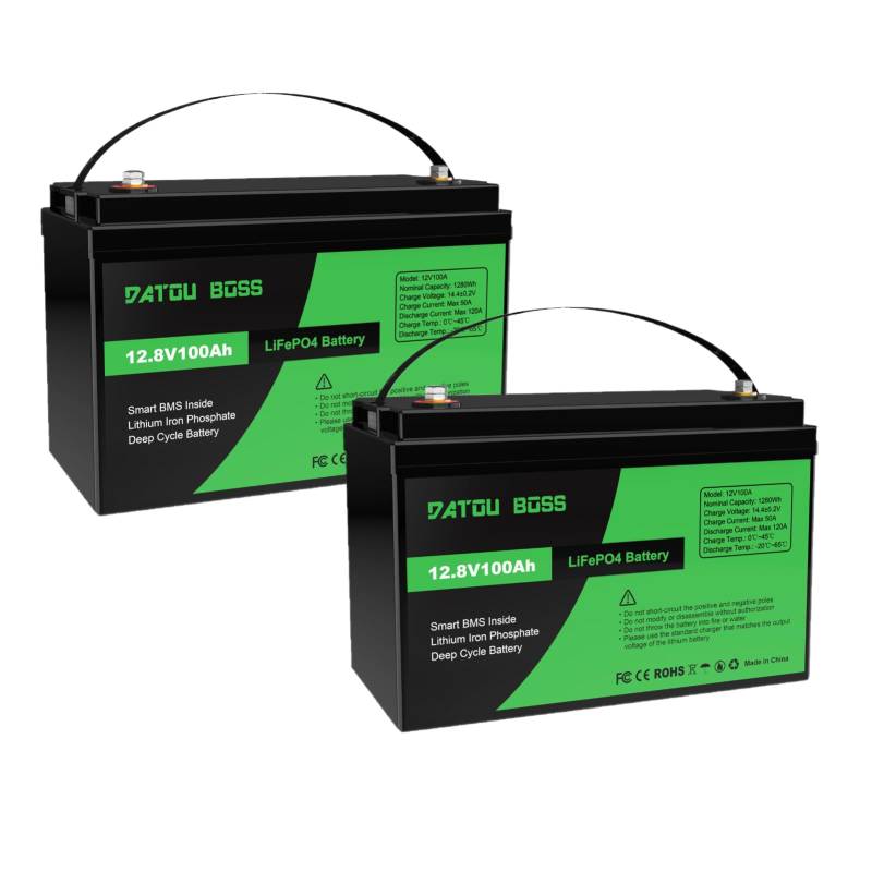 DATOUBOSS 2 * 12V 100Ah LiFePO4 Batterie 100A BMS 8000+Zyklen Deep Cycle Lithium Akku MAX 1280W Leistung Unterstützung in Serie/Parallelschaltung,verwendet für Wohnmobil, Solar Home System und Boot von DATOUBOSS