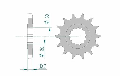 Ritzel AFAM 530-14Z von DC Afam NV