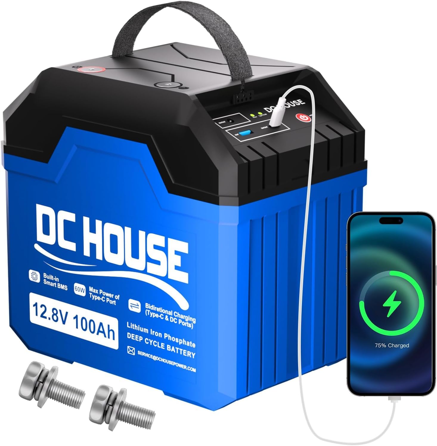 DCHOUSE Lithium Batterie 12V 100AH LiFePO4 mit SOC-Leuchte,USB-A, DC,USB-C Anschlüssen, 100A BMS,Grade A Batteriezellen mit 4000+ Zyklen, für Trolling Motor, Camping, RV, Solar, Boot, Off Grid von DCHOUSE