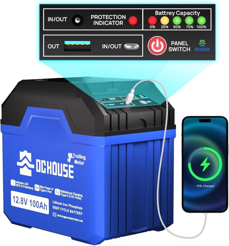 DCHOUSE Lithium Batterie 12V 100AH LiFePO4 Batterie mit USB-A, DC, USB-C Anschlüssen, 100A BMS, Grade A Lithium Batteriezellen mit 4000+ Zyklen, für Trolling Motor, Camping, RV, Solar, Boot, Off Grid von DCHOUSE