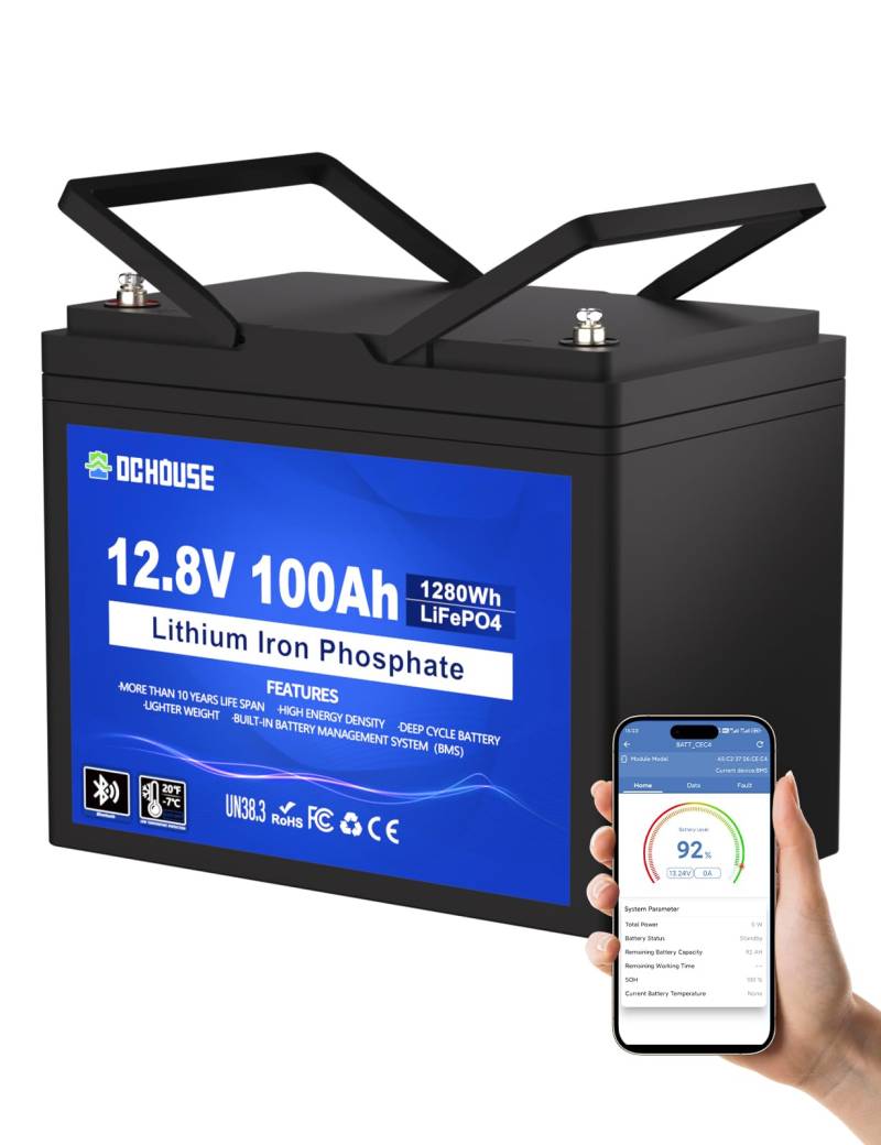 DCHOUSE 12V 100Ah LiFePO4 Bluetooth Lithiumbatterie, Niedertemperaturschutz, eingebaute Leistungsanzeige, bis 15000 Zyklen, 100A BMS, sehr geeignet für Schleppmotoren, Schiffe, Boote, Solarenergie von DCHOUSE