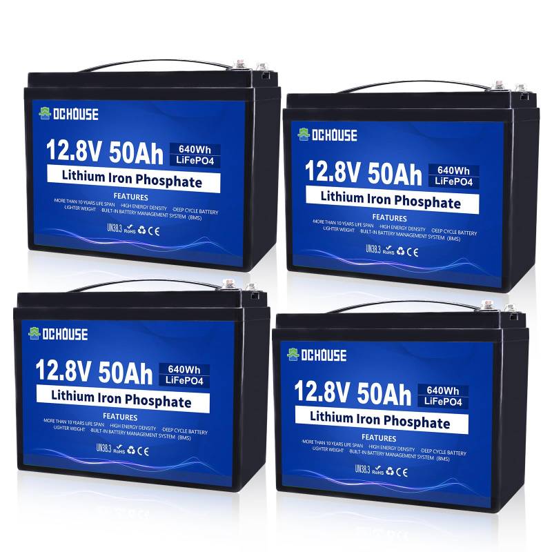 DCHOUSE 12V 200Ah（4 Pack 50AH） Lithium LiFePO4 Batterie, integriertes BMS, mehr als 4000 Zyklen, perfekt für Boot, Marine, Trolling-Motor, Camping, Solaranlage,Wohnmobil, Fischfinder von DCHOUSE