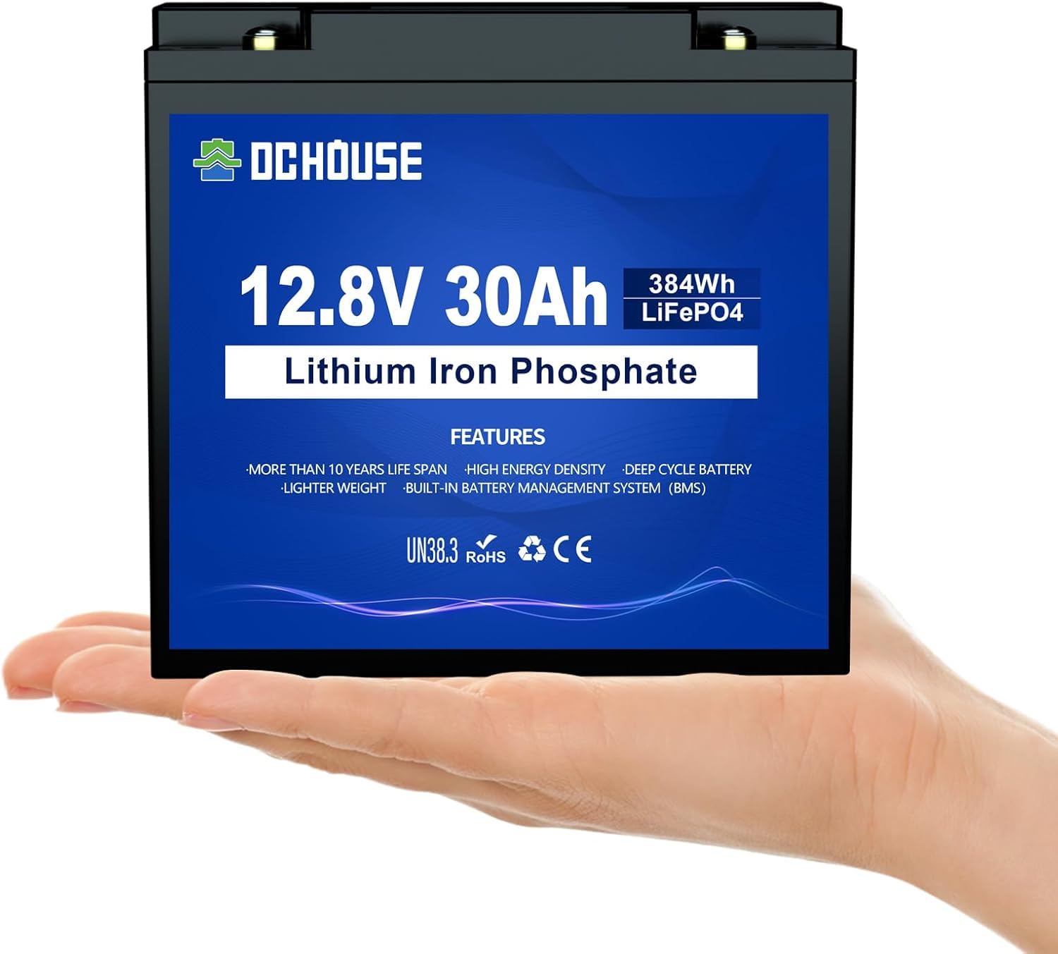 DCHOUSE 12V 30Ah LiFePO4 Akku Deep Cycle Lithium Batterie Wiederaufladbar mit 4000+ Tiefzyklus und BMS-Schutz für Rasenmäher, Solar Panel, Boot Mit Motor, Wohnmobil, Camping von DCHOUSE