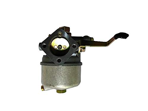 Vergaser für Subaru Robin EC10 Motor ersetzt 106-62516-00 1066350020 49-226 von DCSPARES