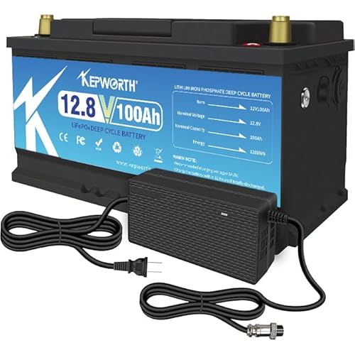 12V 100Ah LiFePO4 Akku, wiederaufladbar LithiumBatterie, mit 100A BMS, 4000+ Deep Cycle Lithium Batterien, perfekt als Solaranlage, Wohnmobil, Boot und Camping von DEESPAEK