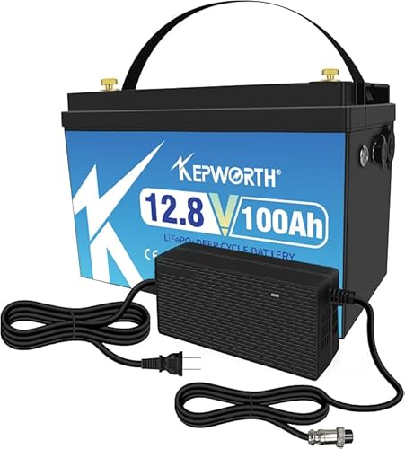 12V 100Ah LithiumBatterie, wiederaufladbar LiFePO4 Akku, mit 100A BMS, 4000+ Deep Cycle Lithium Batterien, perfekt als Solaranlage, Wohnmobil, Boot und Camping von DEESPAEK