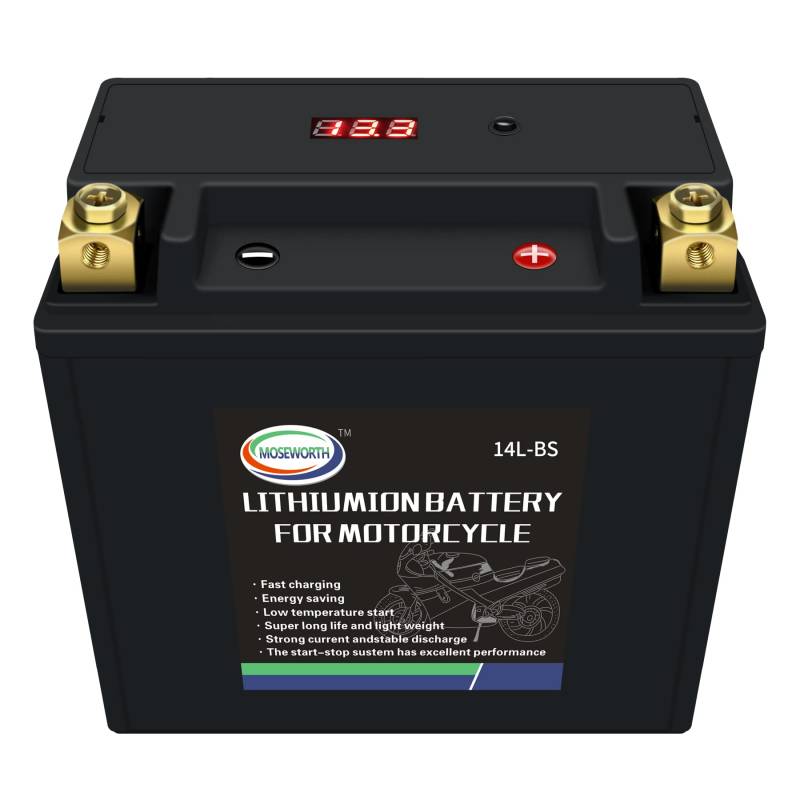 Motorradbatterie YTX14L-BS 9Ah 520CCA LiFePO4 zyklenfeste Starterbatterie, lagerfähig, wartungsfrei von DEESPAEK