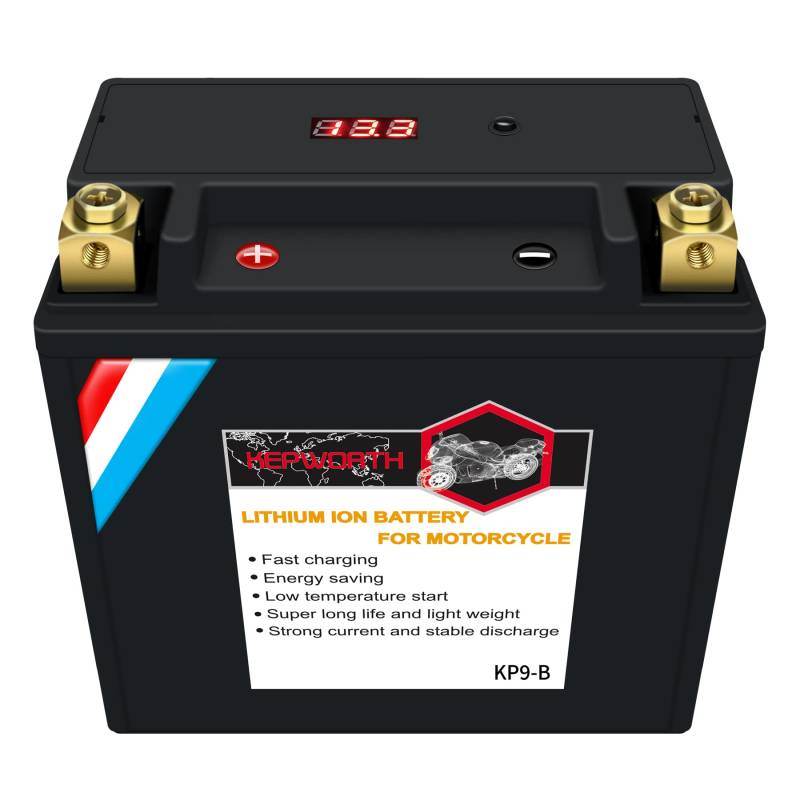 Motorradbatterie YTX9-B 12V 6Ah 350CCA LiFePO4 zyklenfeste Starterbatterie, lagerfähig, wartungsfrei von DEESPAEK