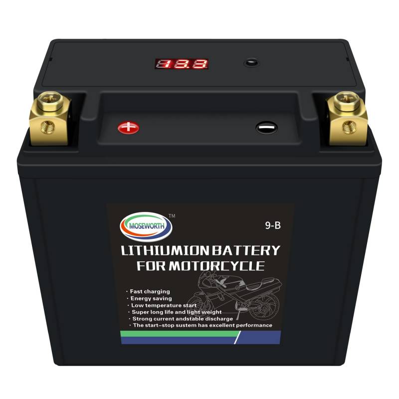 Motorradbatterie YTX9-B 6Ah 350CCA LiFePO4 zyklenfeste Starterbatterie, lagerfähig, wartungsfrei von DEESPAEK