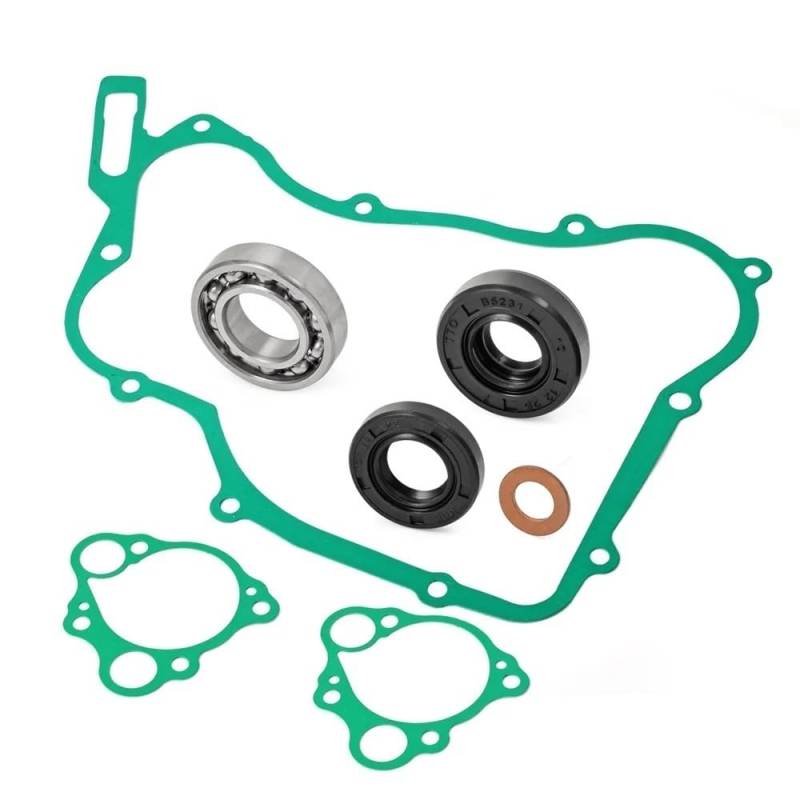 Wasserpumpen-Umbausatz, Dichtungen, Dichtungen und Lager, kompatibel mit CR125 CR125R-Modellen 1990–2004 von DEFIYAN