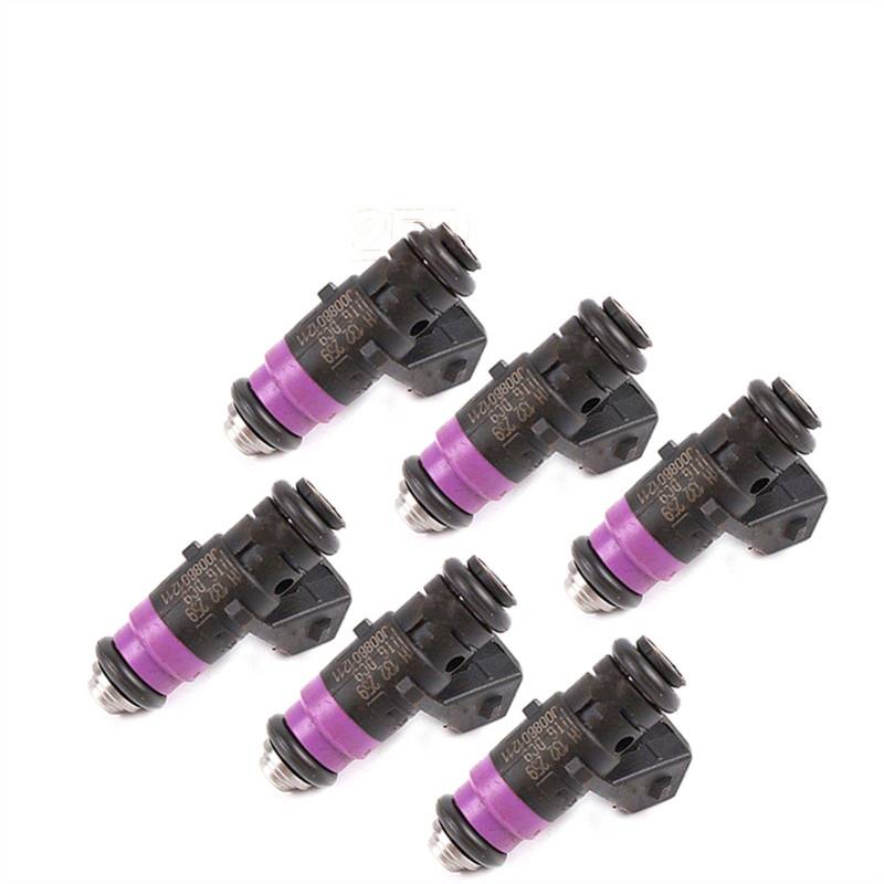 DEMULAX Düseneinspritzung Benzin-Kraftstoffeinspritzer, for Renault, Megane 1.6 16v 31 T KM 6 PCS Autozubehör H132259 8200132259 Einspritzdüse von DEMULAX