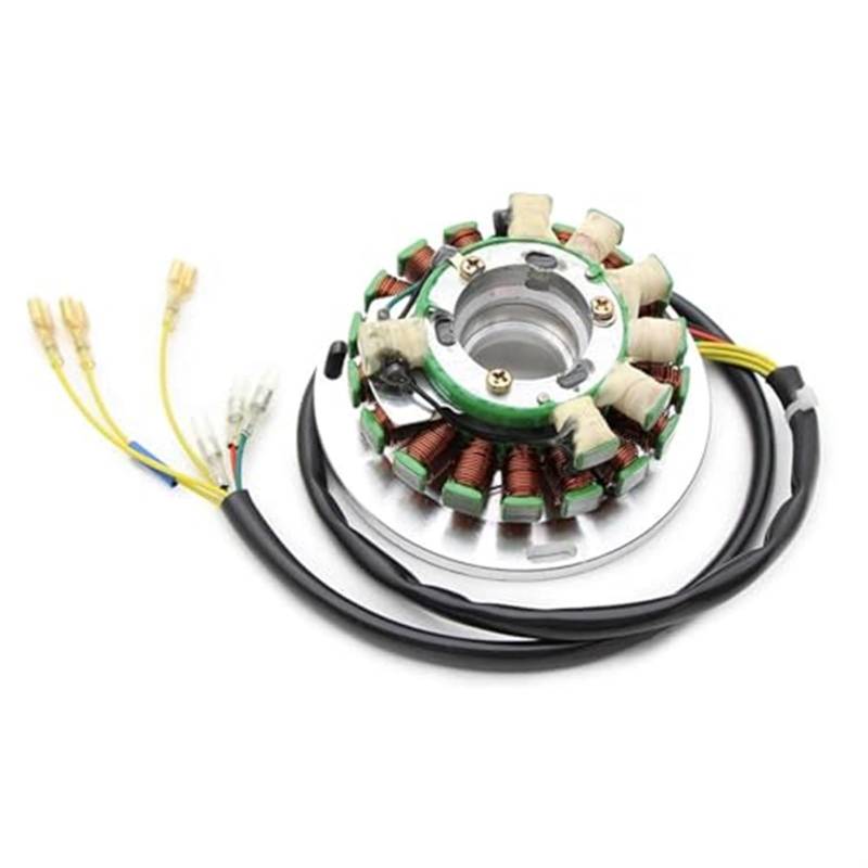 DEMULAX Zündstator for TE350 TE510 TE610 TC500 TX510 TC610 WXC350 WXE350 WMX610 WXE510 WXE610 Motorrad Magneto Stator Spule Zündung Stator Magneto Platte Zündstator-Magnetzünder von DEMULAX