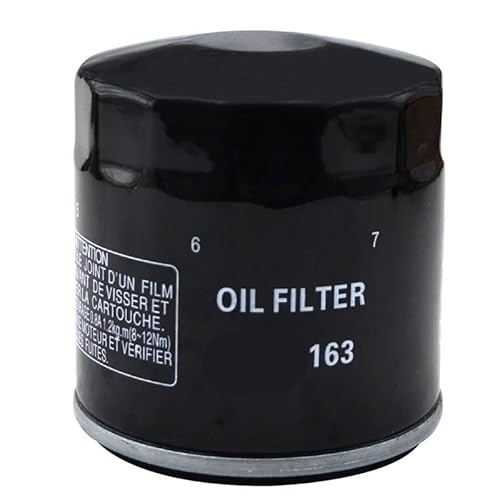 Motorrad Ölfilter for R1100GS R1100R R1100RA R1100RL R1100RS R1100RT R1100S R1100SA PD SE ABS 1100 Special Edition(1 Pc) von DENGFEN