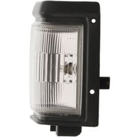 Standlicht DEPO 215-1559-1 Links von Depo