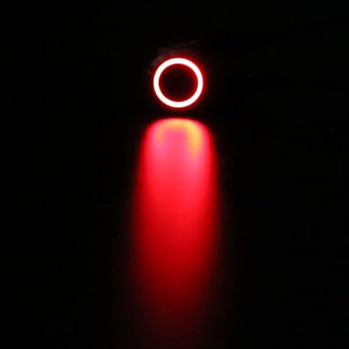 12/16/19/22mm Waterproof Metal Push Button Switch LED Light Momentary Latching Car Engine Power Switch 5V 12V 24V 220V Red Blue DERYLFGND(Red ring,MOMENTARY SELF-RESET_100-240V(220V)_16MM) von DERYLFGND