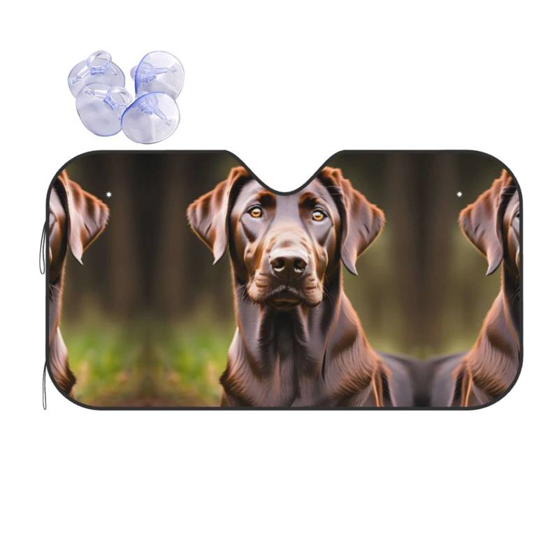 Brauner Labrador Retriever Auto Windschutzscheibe Sonnenschutz Reflektierende Sonnenblende, Sonnenschutz Visier Schild, hält Fahrzeug kühl von DEXNEL