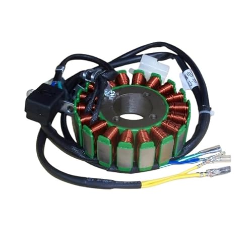 DHAEY Motorrad Statorspule Dreirädriges Motorrad für ATV für CG125 150 300 Hochleistungsgenerator Spulenmotor Stator 4 8 11 12 18 Pole 160 W 200 250 W 350 W von DHAEY