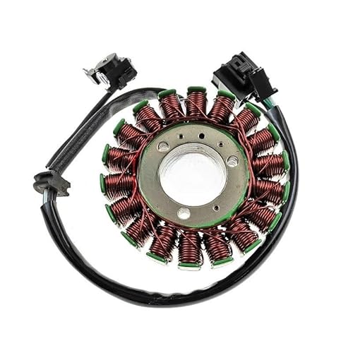 DHAEY Motorrad Statorspule Motorrad Stator Spule Montage Für EX250 Für EX300 Für Ninja 250 300 Für ER250 Für ER300 Z250 Z300 ABS 21003-0128 von DHAEY