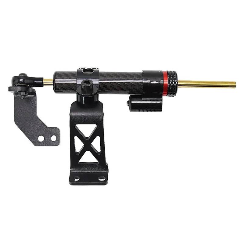 Lenkverstärkerstabilisator Motorrad Zubehör Einstellbare Lenkung Dämpfer Stabilisator Für PAN America 1250 S Für PA1250S Für PAN America 1250 S 2021 2022 Motorradlenkung(Black) von DIAYES