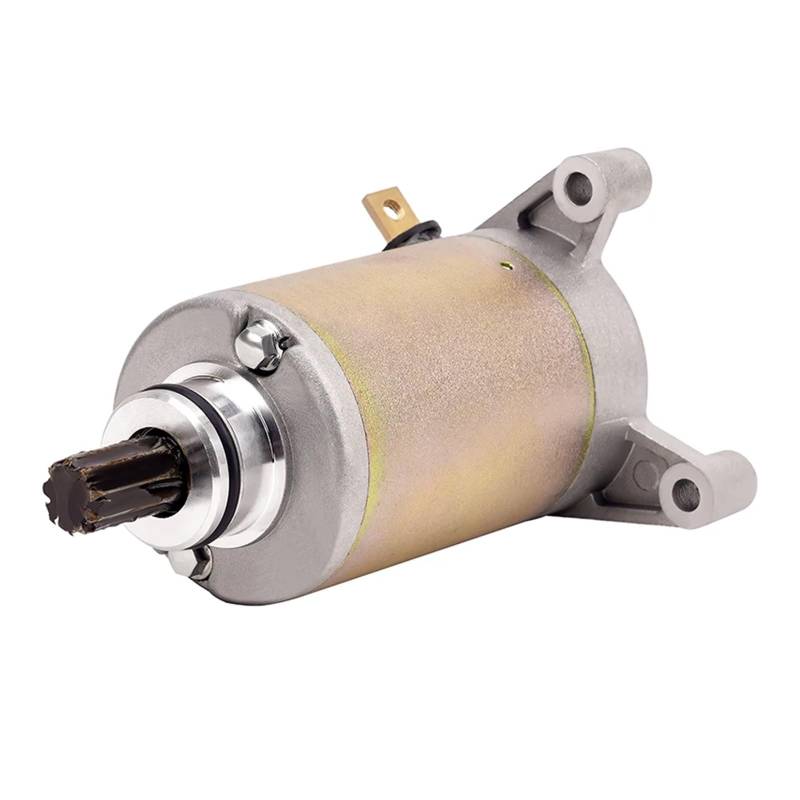 Motorrad Motor Starter Motor for DR200 DR200S 2015-2017 DR125E DR200SE DF125 DF200 DF DR 125 200 DR125 E 31100-42A01 von DLQLL