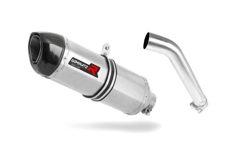 Auspuff F 750 GS HP1 Carbon Endschalldämpfer Dominator Exhaust Racing Slip-on 2018 2019 von DOMINATOR EXHAUST SYSTEM