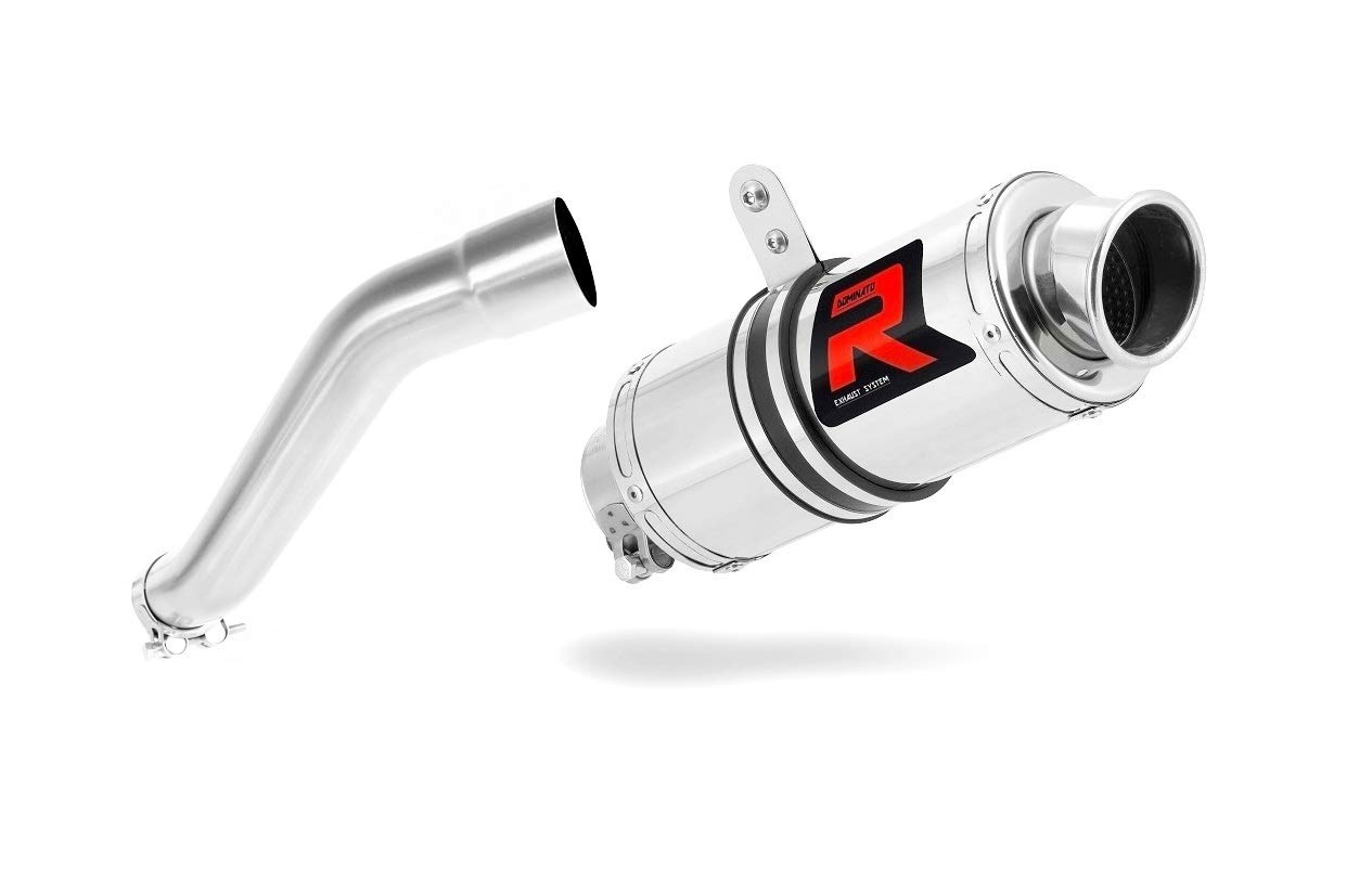 DOMINATOR Schalldämpfer Auspuff GP1 kompatibel mit F650 CS 2002-2005 von DOMINATOR EXHAUST SYSTEM