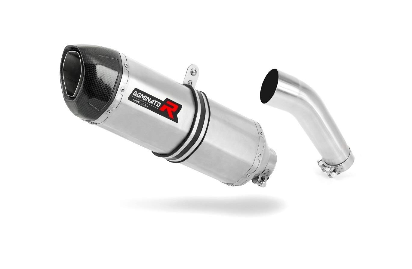 SV 650 S Auspuff HP1 Carbon Endschalldämpfer Dominator Exhaust Racing Slip-on 2003 2004 2005 2006 2007 2008 2009 2010 2011 2012 2013 2014 2015 von DOMINATOR EXHAUST SYSTEM