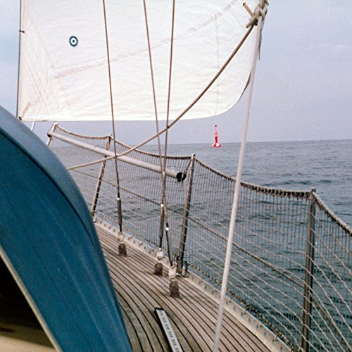 Relingsnetz Schiffsnetz Schutznetz Reling Mw. 45 mm weiß für Segelboot Yacht (10,00 x 0,60 m) von DONET