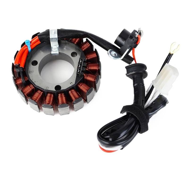 Motorrad Magneto Generator Stator Coil Kompatibel Mit Yamaha 125cc YBR125ED YB125 YB125SPD YBR125ED 3D9/51D 3D9-H1410-10 3D9-H1410-12 von DOPQNYLZW