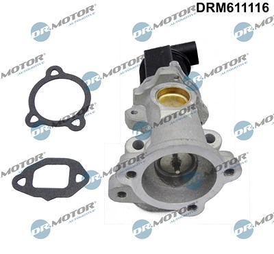 Dr.motor Automotive AGR-Ventil [Hersteller-Nr. DRM611116] für Alfa Romeo, Fiat, Lancia, Opel von DR.MOTOR AUTOMOTIVE