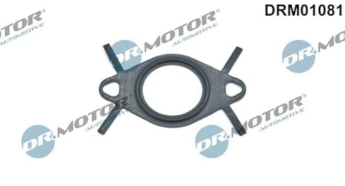 DR.MOTOR AUTOMOTIVE Dichtung Leitung AGR-Ventil von DR.MOTOR AUTOMOTIVE