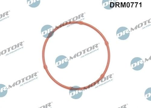 DR.MOTOR AUTOMOTIVE Dichtung Ölpumpe für OPEL Corsa D Schrägheck (S07) ASTRA J von DR.MOTOR AUTOMOTIVE