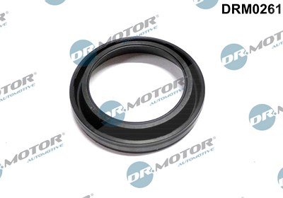 Dr.motor Automotive Dichtung, Düsenhalter [Hersteller-Nr. DRM0261] für Mazda von DR.MOTOR AUTOMOTIVE