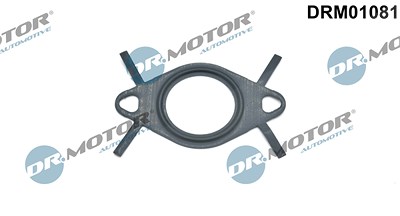 Dr.motor Automotive Dichtung, Leitung AGR-Ventil [Hersteller-Nr. DRM01081] für Opel von DR.MOTOR AUTOMOTIVE