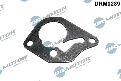 Dr.motor Automotive Dichtung, Unterdruckpumpe [Hersteller-Nr. DRM0289] für Dacia, Nissan, Renault von DR.MOTOR AUTOMOTIVE