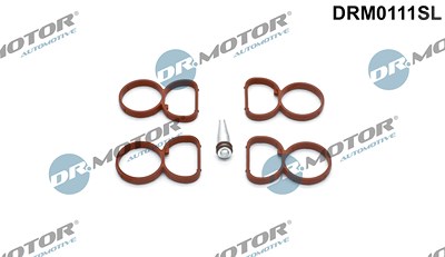 Dr.motor Automotive Dichtungssatz, Ansaugkrümmer [Hersteller-Nr. DRM0111SL] für Alpina, BMW von DR.MOTOR AUTOMOTIVE