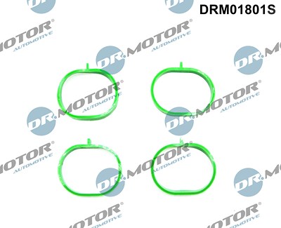Dr.motor Automotive Dichtungssatz, Ansaugkrümmer [Hersteller-Nr. DRM01801S] für Dacia, Lada, Nissan, Renault von DR.MOTOR AUTOMOTIVE
