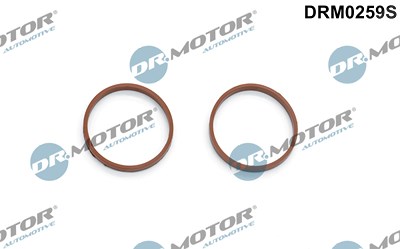 Dr.motor Automotive Dichtungssatz, Ansaugkrümmer [Hersteller-Nr. DRM0259S] für Citroën, Dacia, Ds, Fiat, Ford, Land Rover, Mazda, Mercedes-Benz, Mitsu von DR.MOTOR AUTOMOTIVE